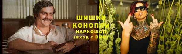 сатива Абдулино