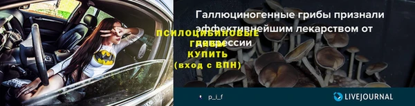 сатива Абдулино
