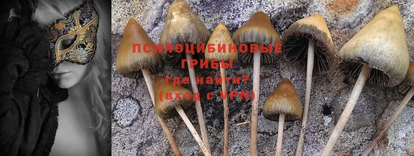 сатива Абдулино