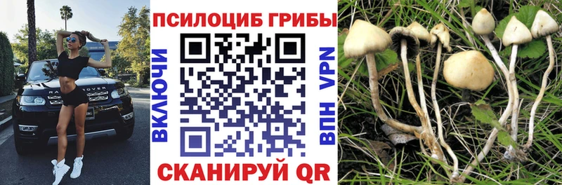 наркота Абаза Псилоцибиновые грибы Magic Shrooms